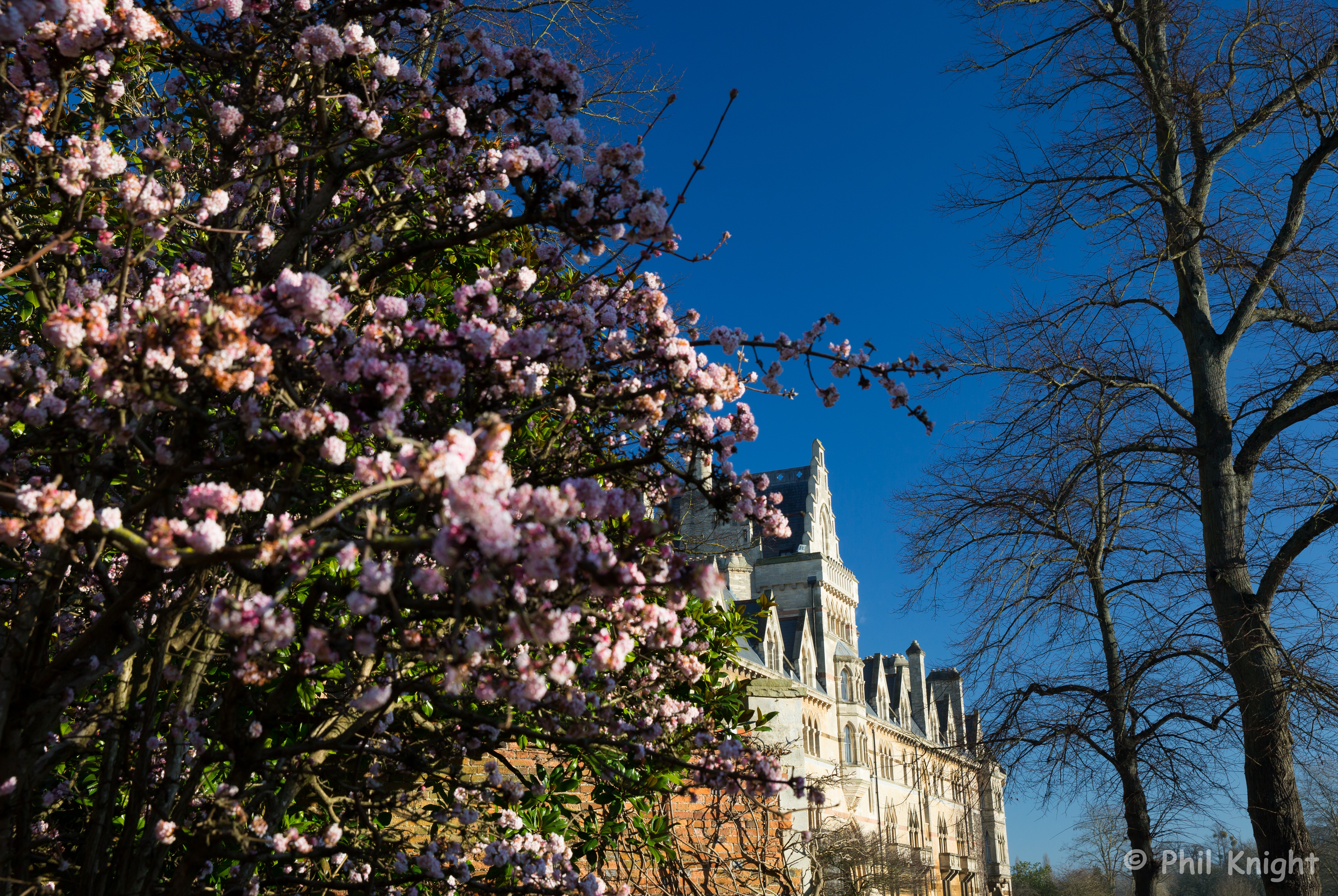 Christ Church College