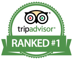 tripadvisor_no1