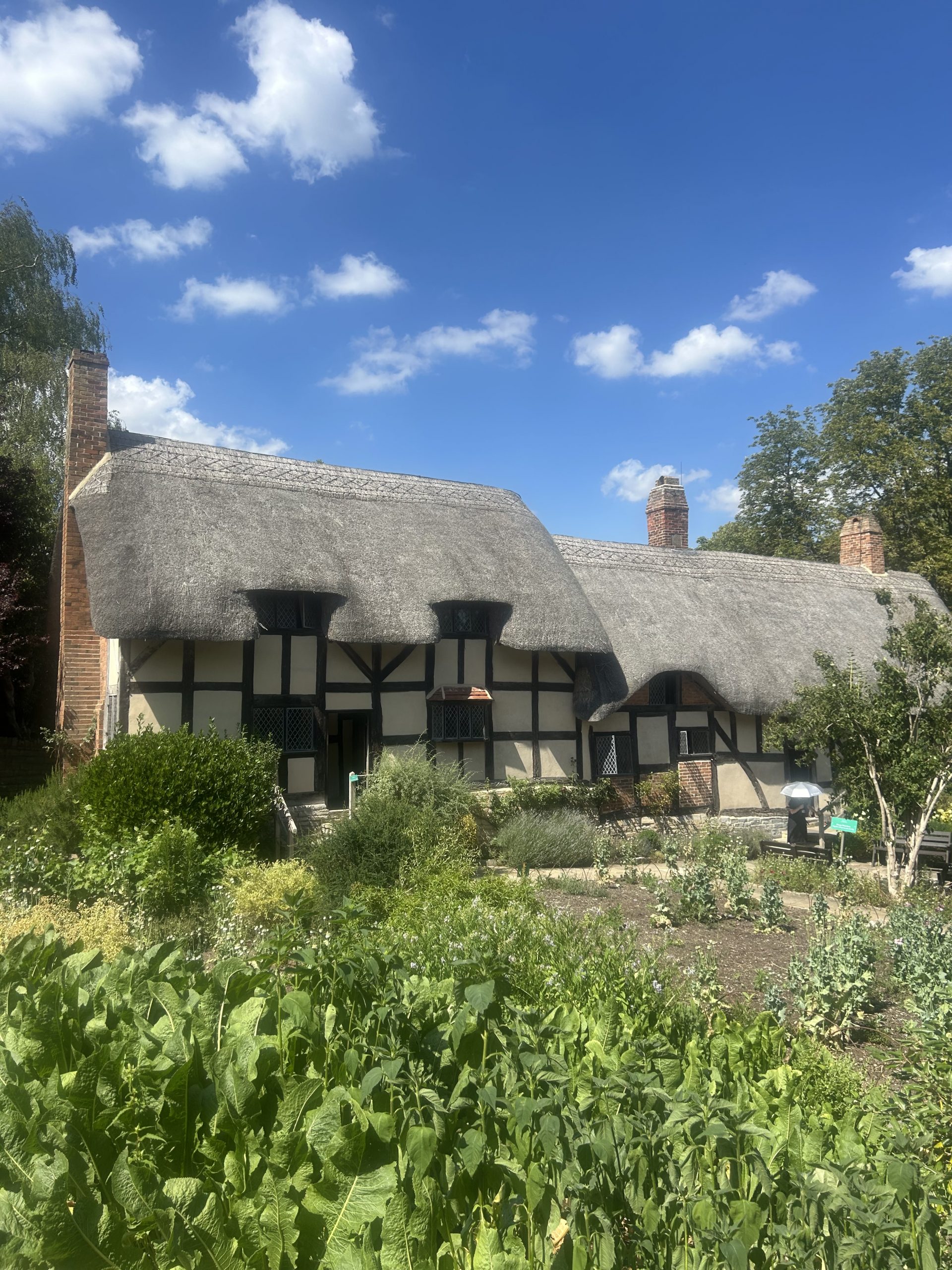 Walking_Tours_Tour_Manager